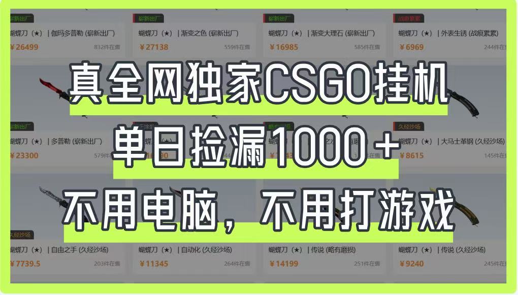 图片[1]-真全网独家CSGO挂机，单日捡漏1000+，不用电脑，不用养号-小酒传媒：网创资源∞实战项目∞全网首发