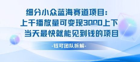 小众蓝海赛道项目：当天变现1k+适合新手操作 +适合长期玩-小酒传媒创业网：网创资源∞实战项目∞全网首发