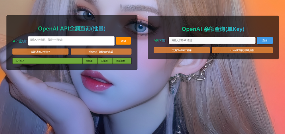 ChatGPT在线查询余额小工具源码-小酒传媒创业网：网创资源∞实战项目∞全网首发