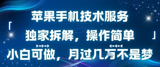 苹果手机技术服务，独家拆解，操作简单，小白可做，月过1W不是梦-小酒传媒创业网：网创资源∞实战项目∞全网首发