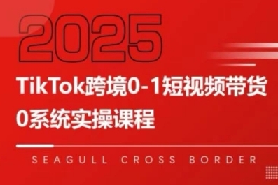 TikTok跨境0-1短视频带货，系统拆解TikTok跨境带货全链路，实现跨境可持续盈利-小酒传媒创业网：网创资源∞实战项目∞全网首发