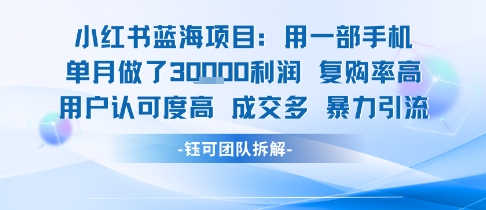 小红书蓝海项目，一部手机单月做了3W利润，小白也能月入过1W用户认可度高成交多-小酒传媒创业网：网创资源∞实战项目∞全网首发