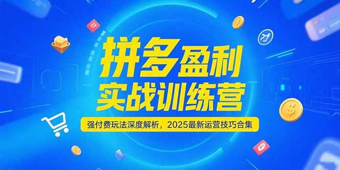 图片[1]-（15183期）拼多多盈利实战训练营，强付费玩法深度解析，2025最新运营技巧合集-小酒传媒：网创资源∞实战项目∞全网首发