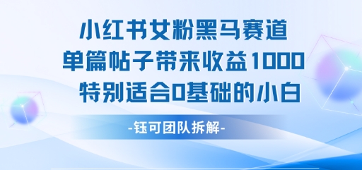 小红书女粉黑马赛道单篇帖子带来收益1k+，特别适合0基础的小白-小酒传媒创业网：网创资源∞实战项目∞全网首发