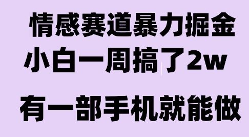 情感暴力掘金项目，新人操作一周挣了2W，长期稳定小白可做【揭秘】-小酒传媒创业网：网创资源∞实战项目∞全网首发