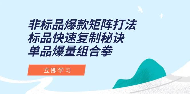 （15068期）非标品爆款矩阵打法，标品快速复制秘诀，单品爆量组合拳-小酒传媒创业网：网创资源∞实战项目∞全网首发