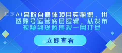 AI高阶自媒体项目实操课，讲透账号运营底层逻辑，从发布视频到规避违规一网打尽-小酒传媒创业网：网创资源∞实战项目∞全网首发