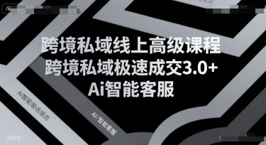 跨境私域线上高级课程，跨境私域极速成交3.0+Ai智能客服-小酒传媒创业网：网创资源∞实战项目∞全网首发