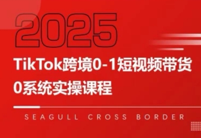 大亿老师·TikTok跨境0-1短视频带货-小酒传媒创业网：网创资源∞实战项目∞全网首发