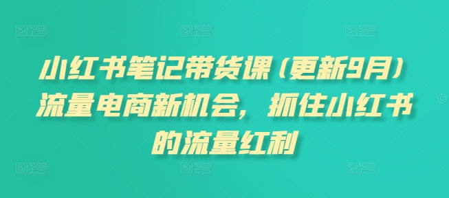 小红书笔记带货课(更新25年6月)流量电商新机会，抓住小红书的流量红利-小酒传媒创业网：网创资源∞实战项目∞全网首发