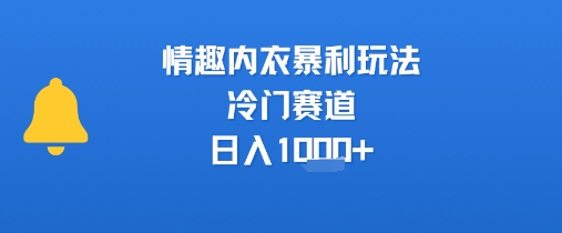 情趣内衣暴利玩法，冷门赛道，日入1k+-小酒传媒创业网：网创资源∞实战项目∞全网首发