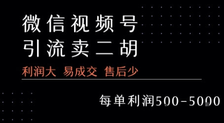 视频号卖二胡教程，利润大 易成交 售后少，一单利润5张+-小酒传媒创业网：网创资源∞实战项目∞全网首发