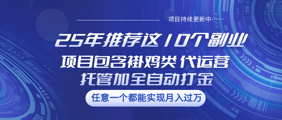 图片[1]-25年推荐这10个副业 项目包含褂鸡类、代运营托管类、全自动打金类-小酒传媒：网创资源∞实战项目∞全网首发