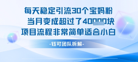 每天稳定引流30个人 当月变成超过了4个W项目流程非常简单适合小白-小酒传媒创业网：网创资源∞实战项目∞全网首发