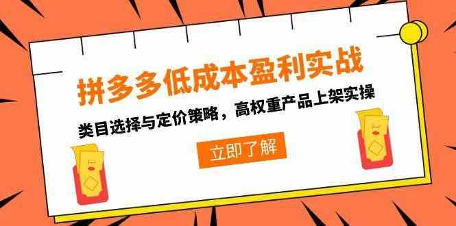 拼多多低成本盈利实战，类目选择与定价策略，高权重产品上架实操-小酒传媒创业网：网创资源∞实战项目∞全网首发
