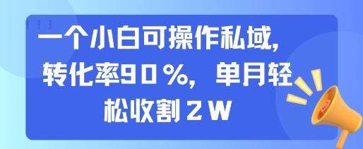 一个小白可操作私域，转化率90%，单月轻松收割2W-小酒传媒创业网：网创资源∞实战项目∞全网首发
