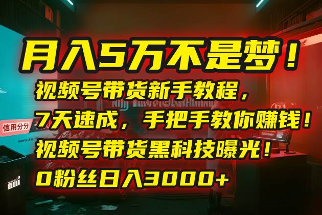 （15595期）月入5万不是梦！视频号带货新手教程，7天速成，手把手教你赚钱！视频号…-小酒传媒创业网：网创资源∞实战项目∞全网首发
