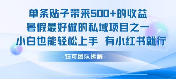单条贴子带来5张的收益，暑假最好做的私域项目之一，小白也能轻松上手，有小红书就行-小酒传媒创业网：网创资源∞实战项目∞全网首发