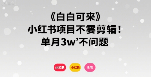小白可来 小红书项目不需要剪辑 单月3w不是问题-小酒传媒创业网：网创资源∞实战项目∞全网首发