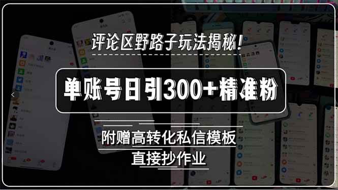 （15466期）评论区野路子玩法揭秘！单账号日引300+精准粉，附赠高转化私信模板，直…-小酒传媒创业网：网创资源∞实战项目∞全网首发