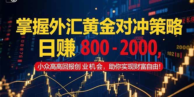 图片[1]-（15198期）掌握外汇黄金对冲策略，日赚 800 – 2000，小众高回报创业机会，助你实…-小酒传媒：网创资源∞实战项目∞全网首发