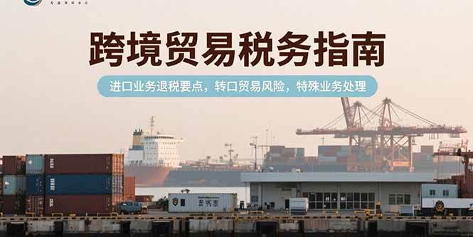 （15381期）跨境贸易税务指南，进口业务退税要点，转口贸易风险，特殊业务处理-小酒传媒创业网：网创资源∞实战项目∞全网首发