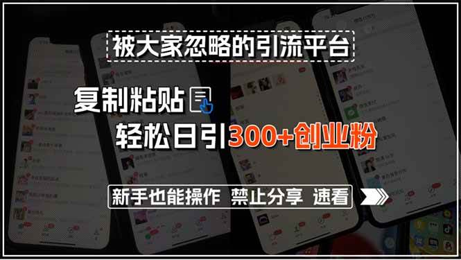 （15428期）被大家忽略的引流平台，复制粘贴轻松日引300+创业粉，新手也能操作，禁…-小酒传媒创业网：网创资源∞实战项目∞全网首发