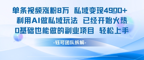 单条视频私域变现4.9k+利用AI做私域玩法 已经开始火热0基础也能做的副业项目轻松上手-小酒传媒创业网：网创资源∞实战项目∞全网首发