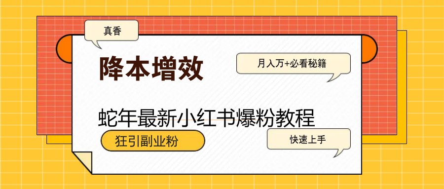 图片[1]-蛇年最新小红书爆粉教程，狂引副业粉，月入万+必看-创新社-资源网-最新项目分享网站